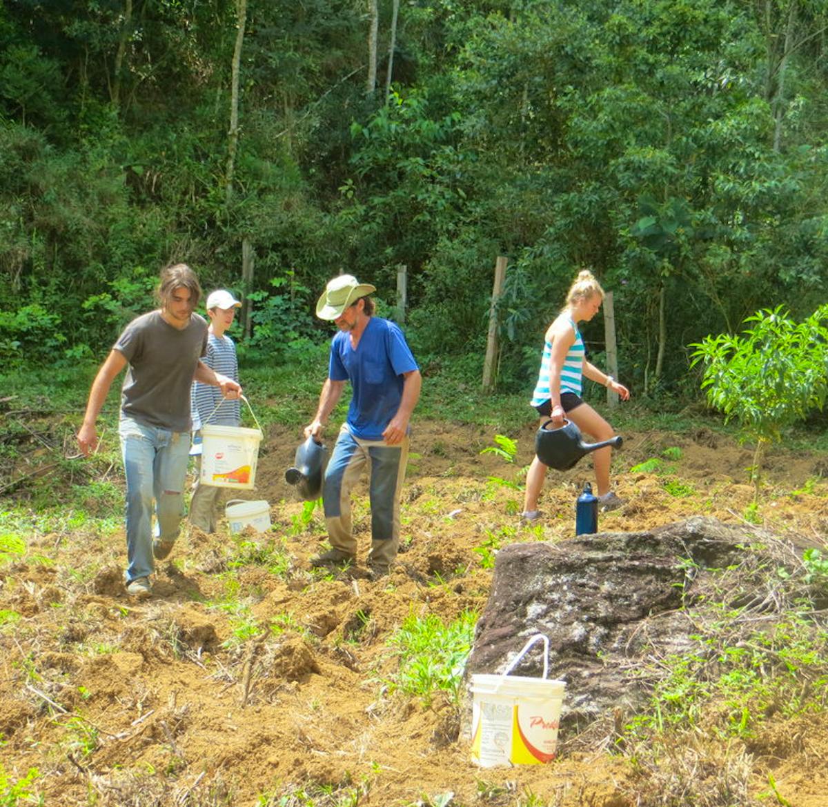 Restoring Brazilian Atlantic Rainforest | Volunteer in Brazil 2024