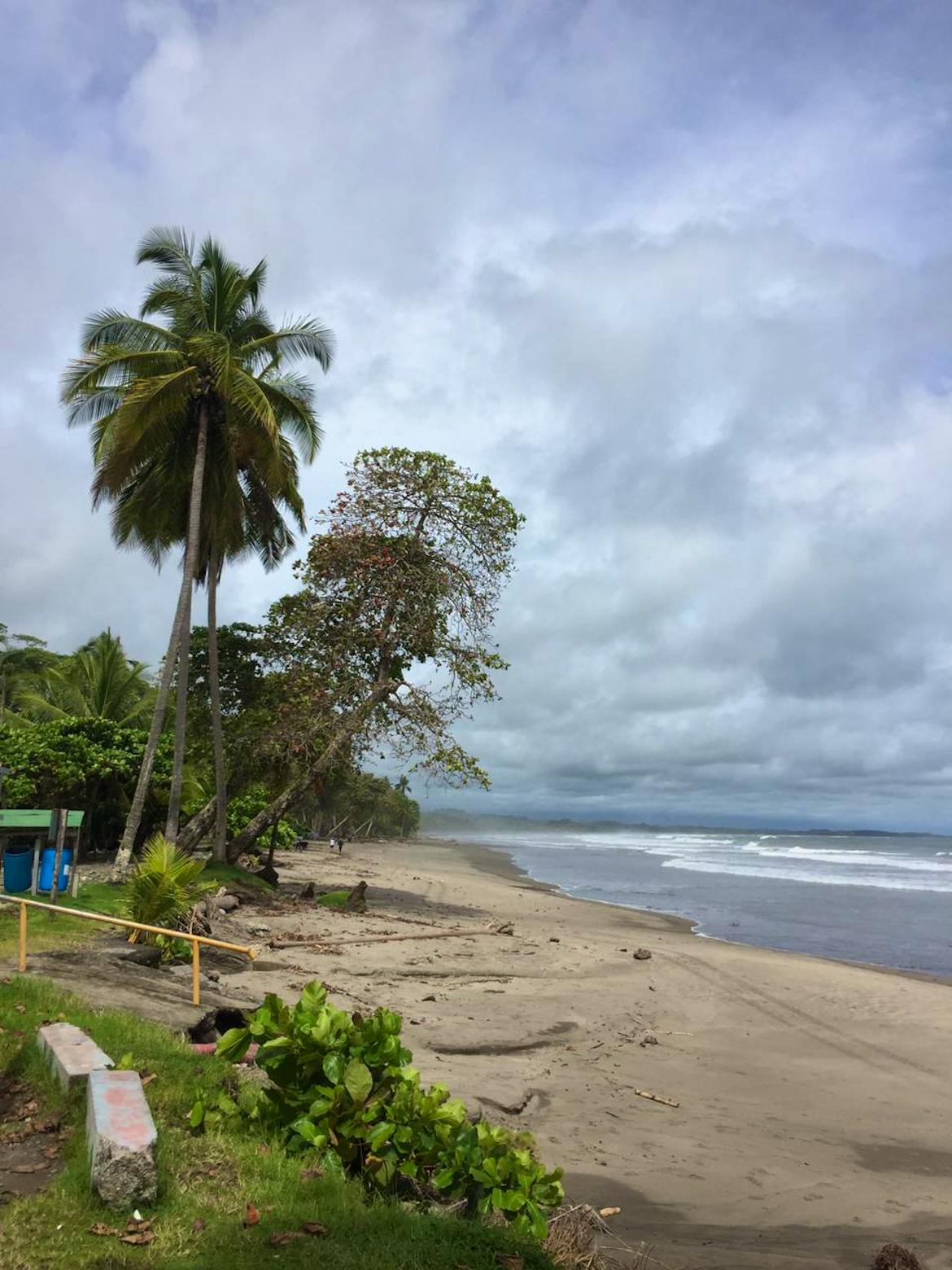 Wildlife Conservation and Surfing | Volunteer in Costa Rica 2024