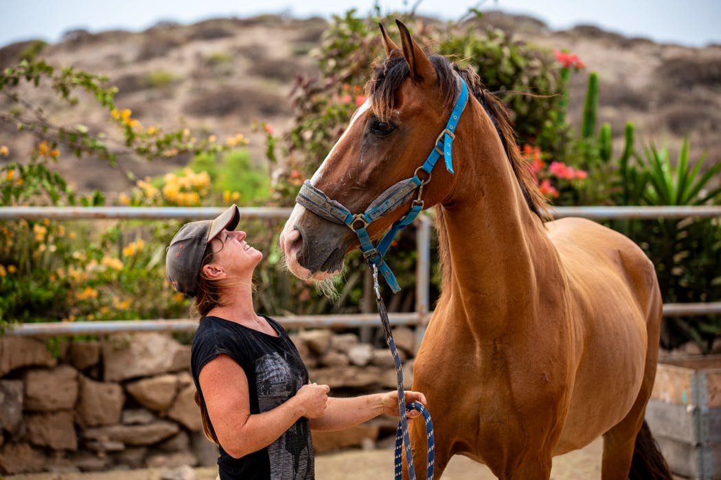 One of our volunteers with horse Geronimo.