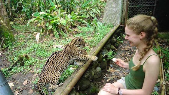Volunteer in Ecuador Amazon Animal Sanctuary