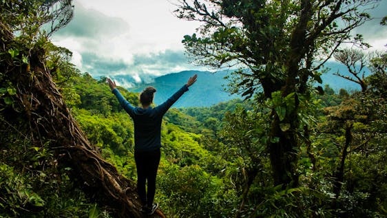 Santuario de Perezosos en Costa Rica Work in a National Park