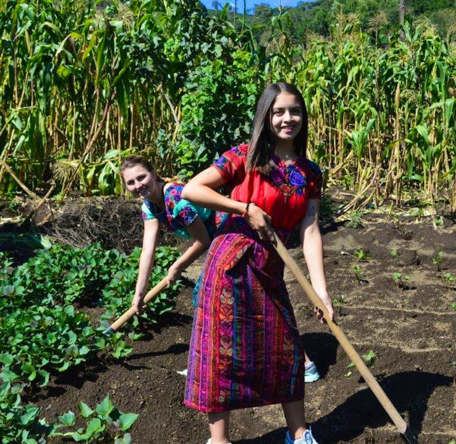 Mayan Cultural Immersion Volunteer in Guatemala 2025
