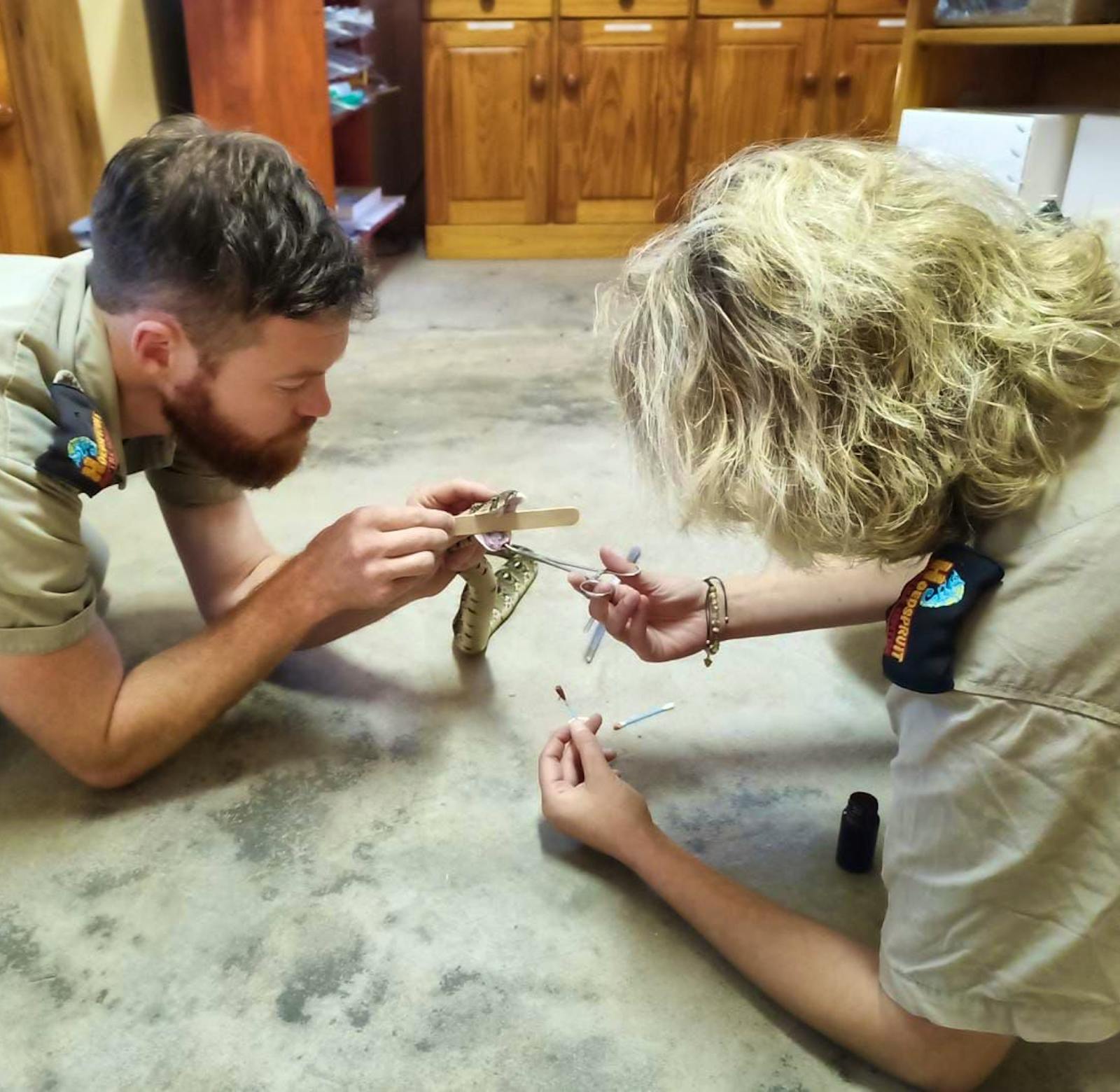 Reptile Vet Sanctuary | Volunteer in South Africa 2024