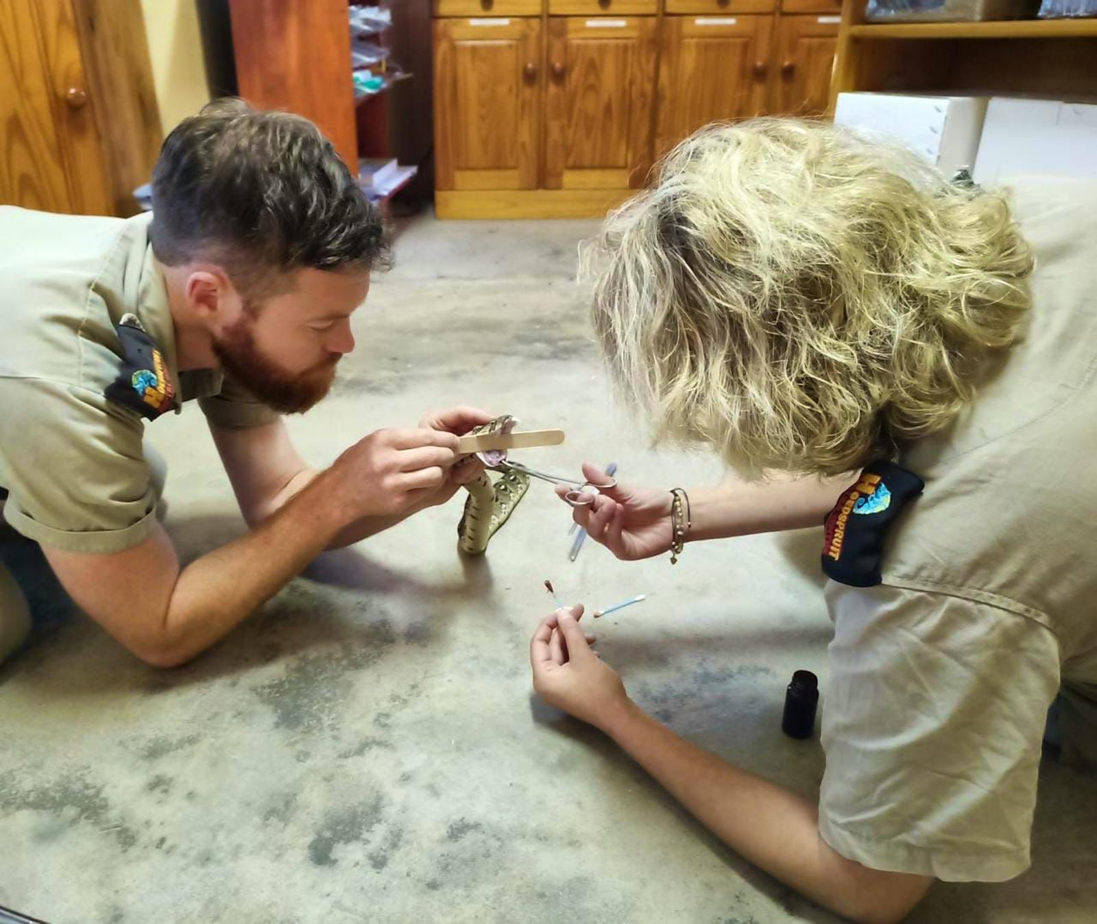 Reptile Vet Sanctuary | Volunteer in South Africa 2024