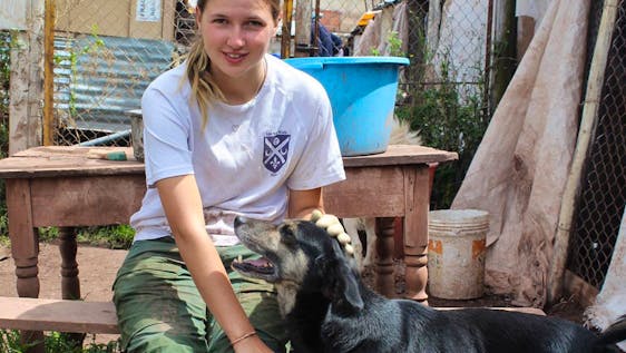  Peru Dog Rescue Volunteers