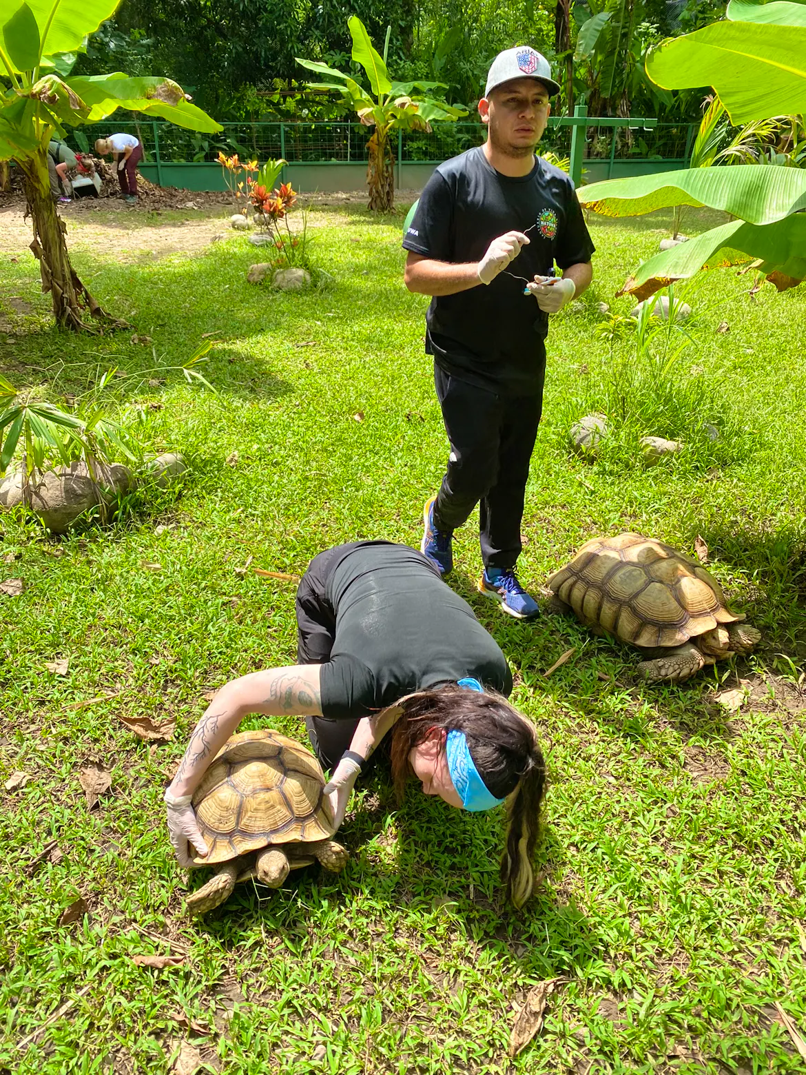 Wildlife Sanctuary and Rescue Volunteer in Costa Rica 2024