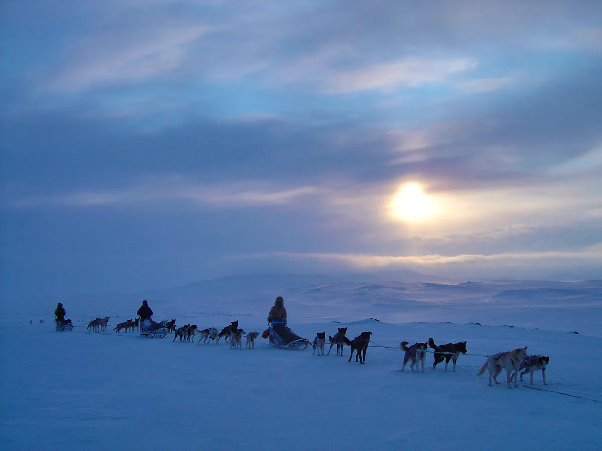 Arctic Husky Ranch Caretaker | Volunteer in Norway 2025