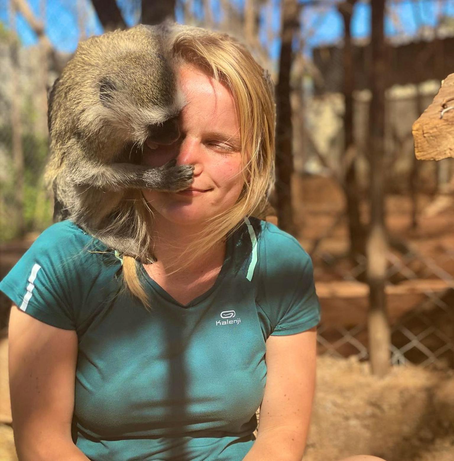 Primate Rescue and Rehabilitation Volunteer in Zimbabwe 2023