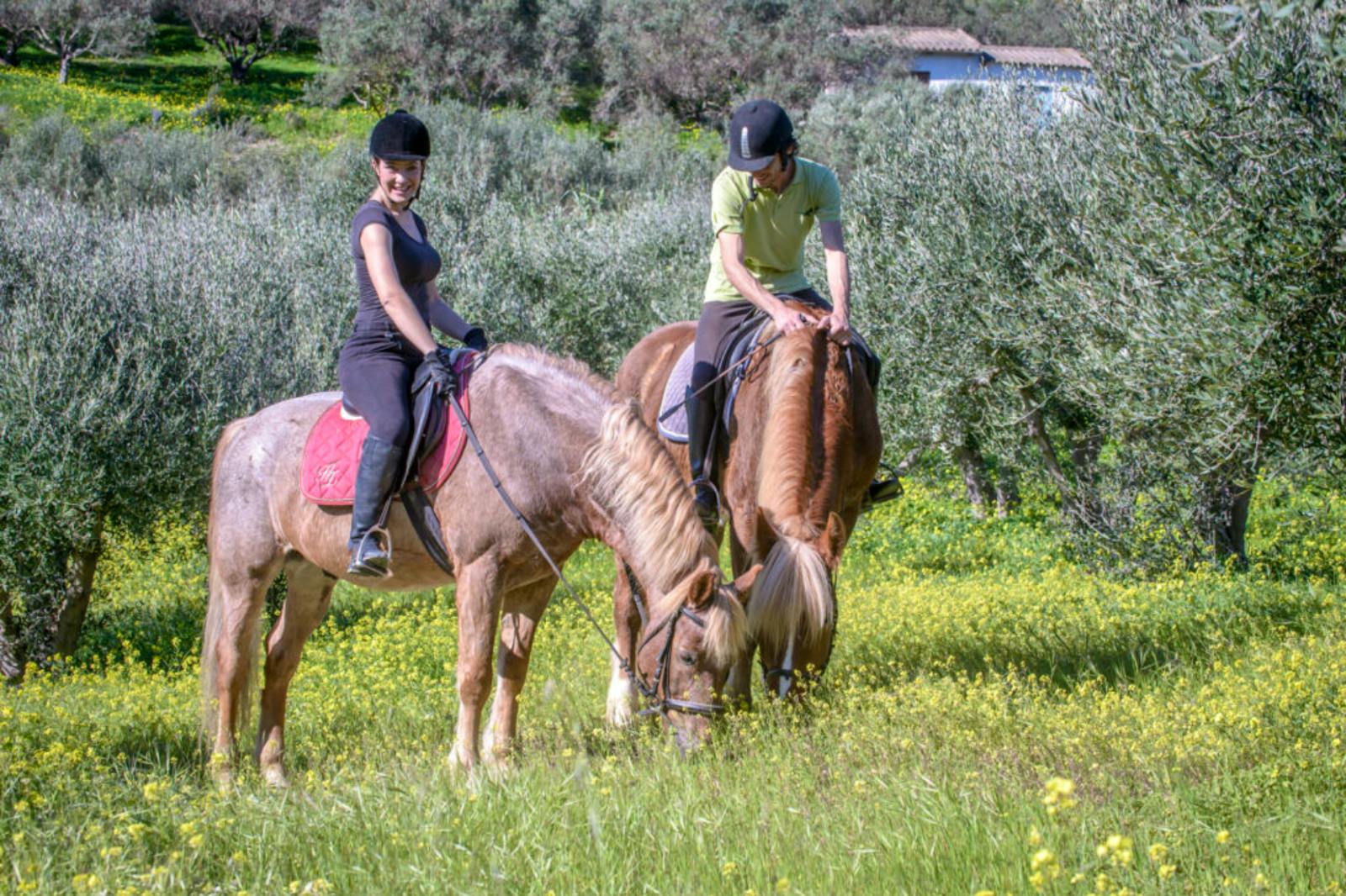 Support a Horse Riding Academy in Crete | Volunteer in Greece 2024