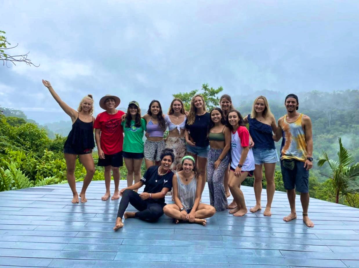 A baby Olive Ridley turtle.