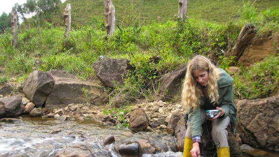 Research Coordination in the Rainforest