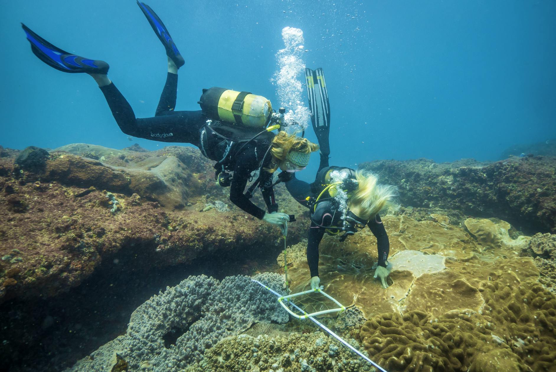 One of our students collecting data on whales.