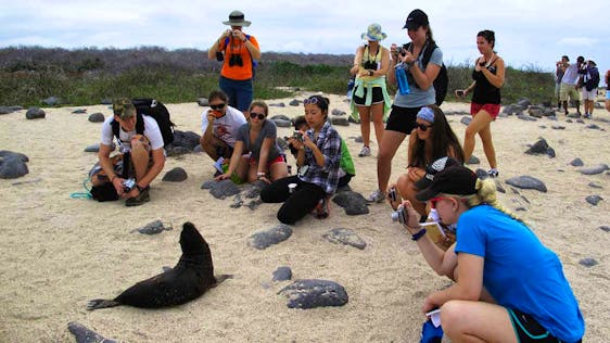  Ecotourism Supporter in Galapagos National Park