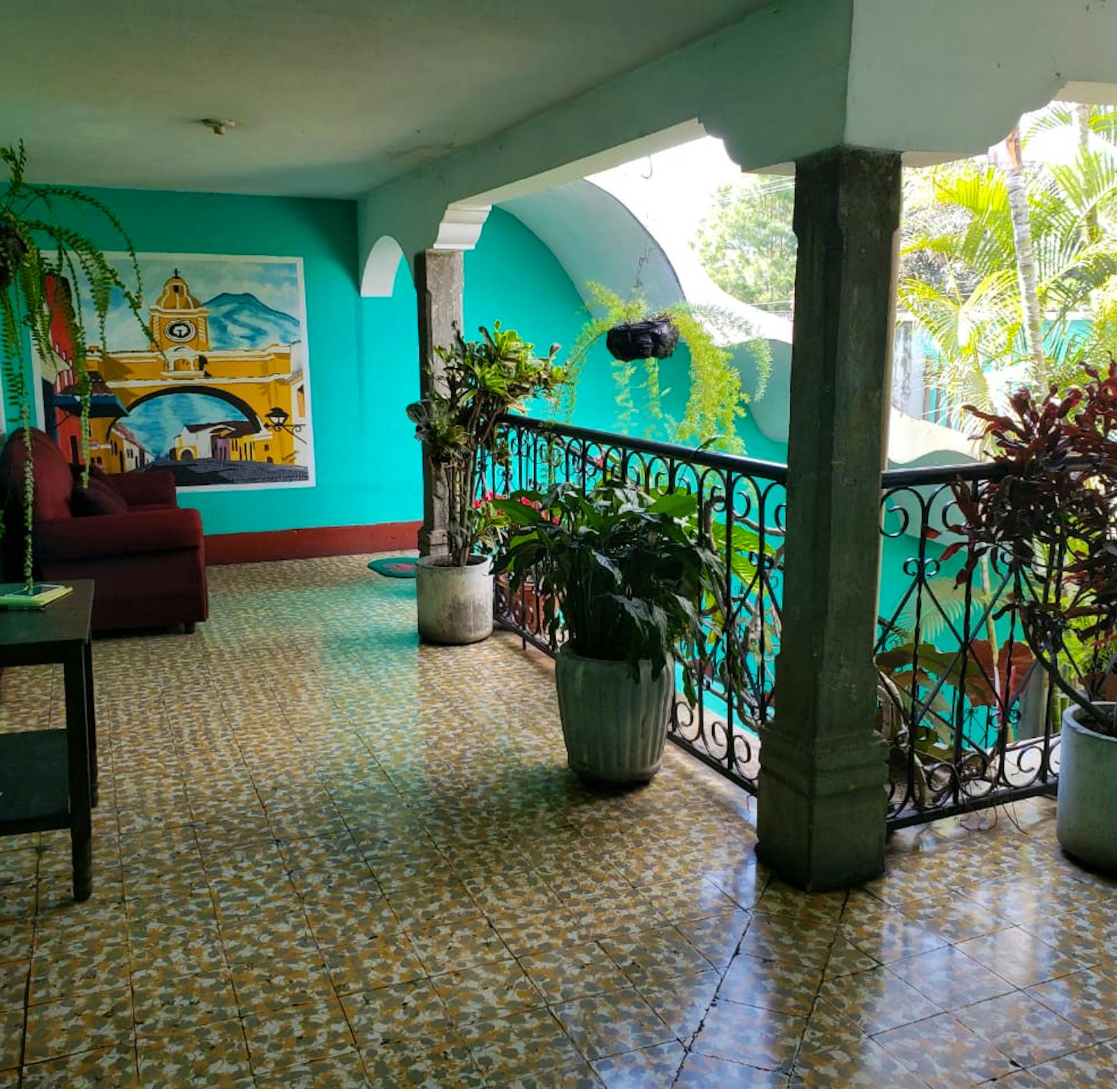 Animal Rehabilitation | Volunteer in Costa Rica 2024