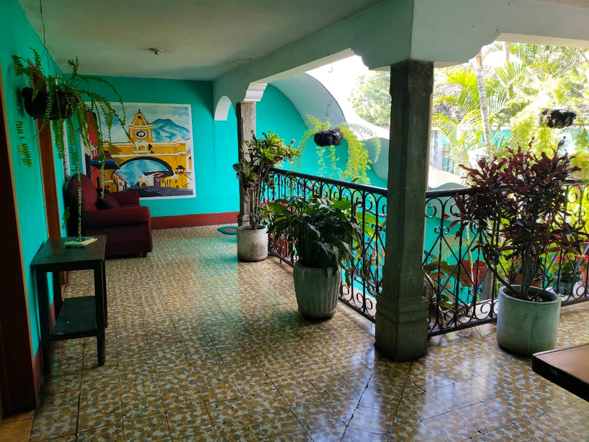 Animal Rehabilitation Volunteer in Costa Rica 2024