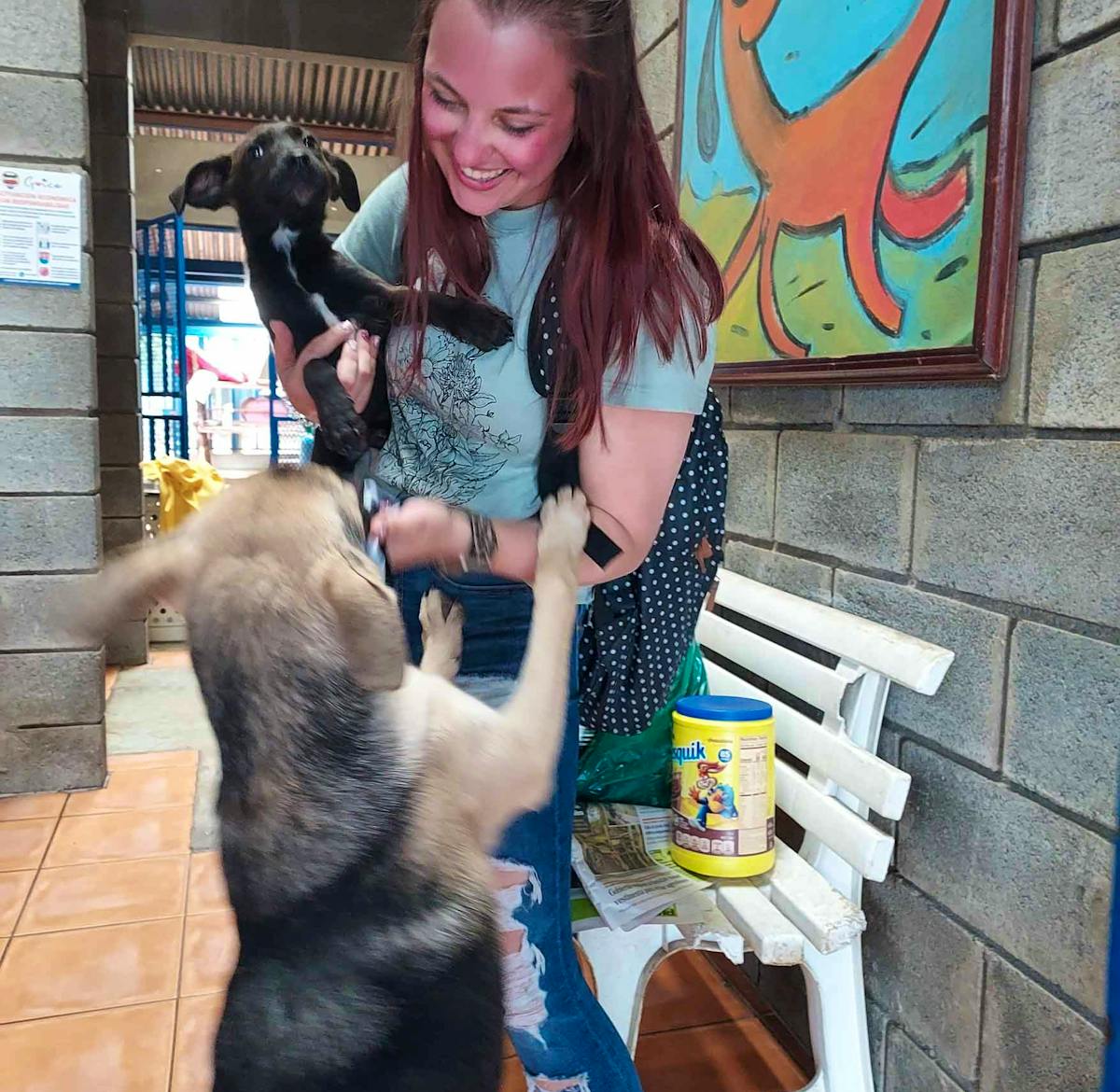 Animal Rehabilitation | Volunteer in Costa Rica 2024