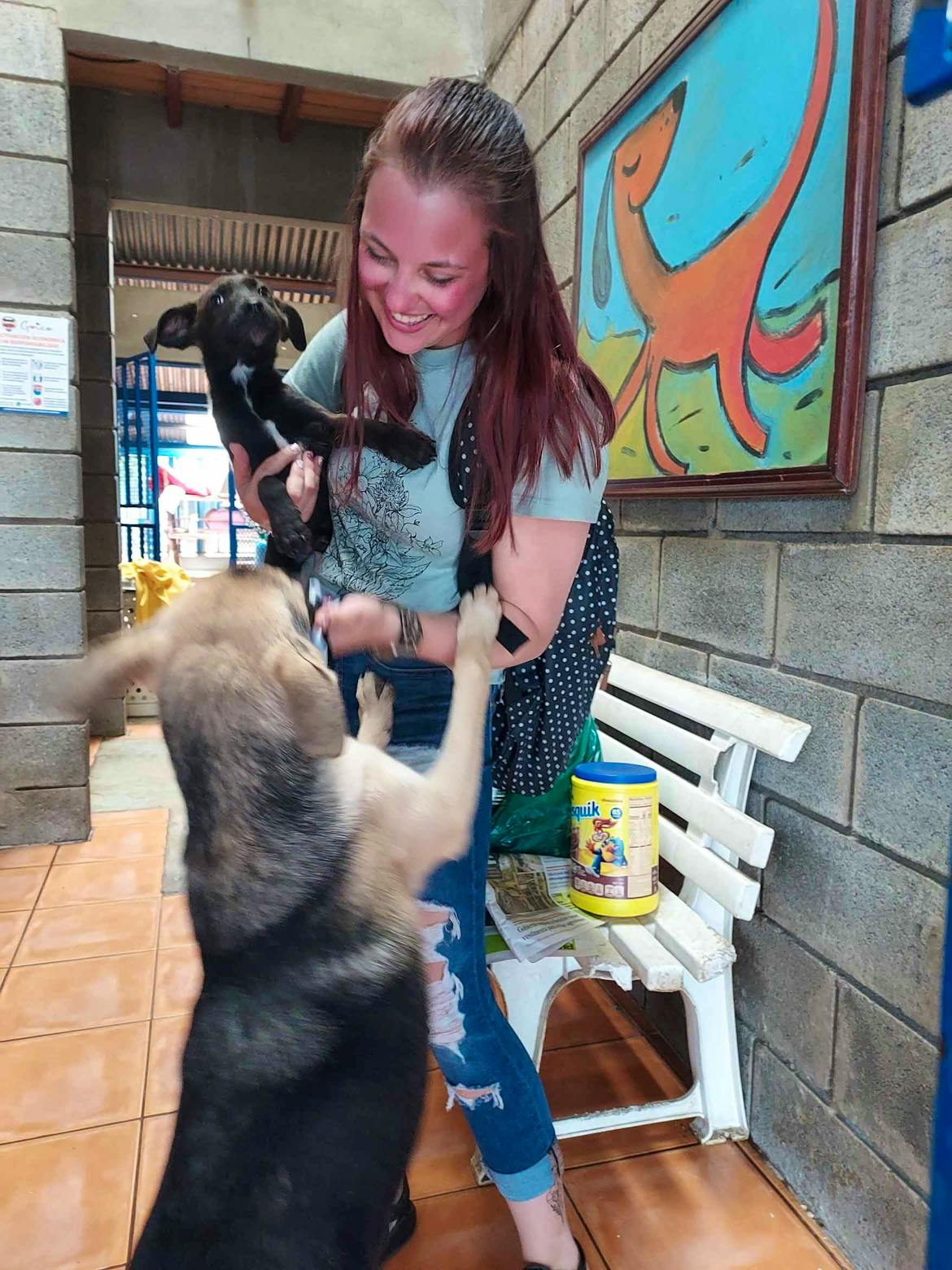 Animal Rehabilitation Volunteer in Costa Rica 2024