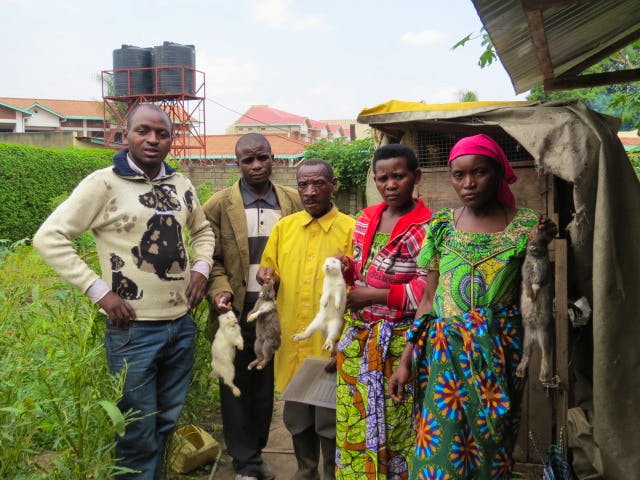 Volunteer in Rwanda 🇷🇼| Top 10 Programs 2025 | Volunteer World