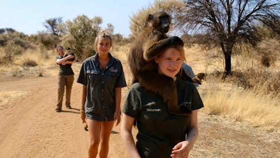 Voluntariado en Namibia Harnas Wildlife Sanctuary