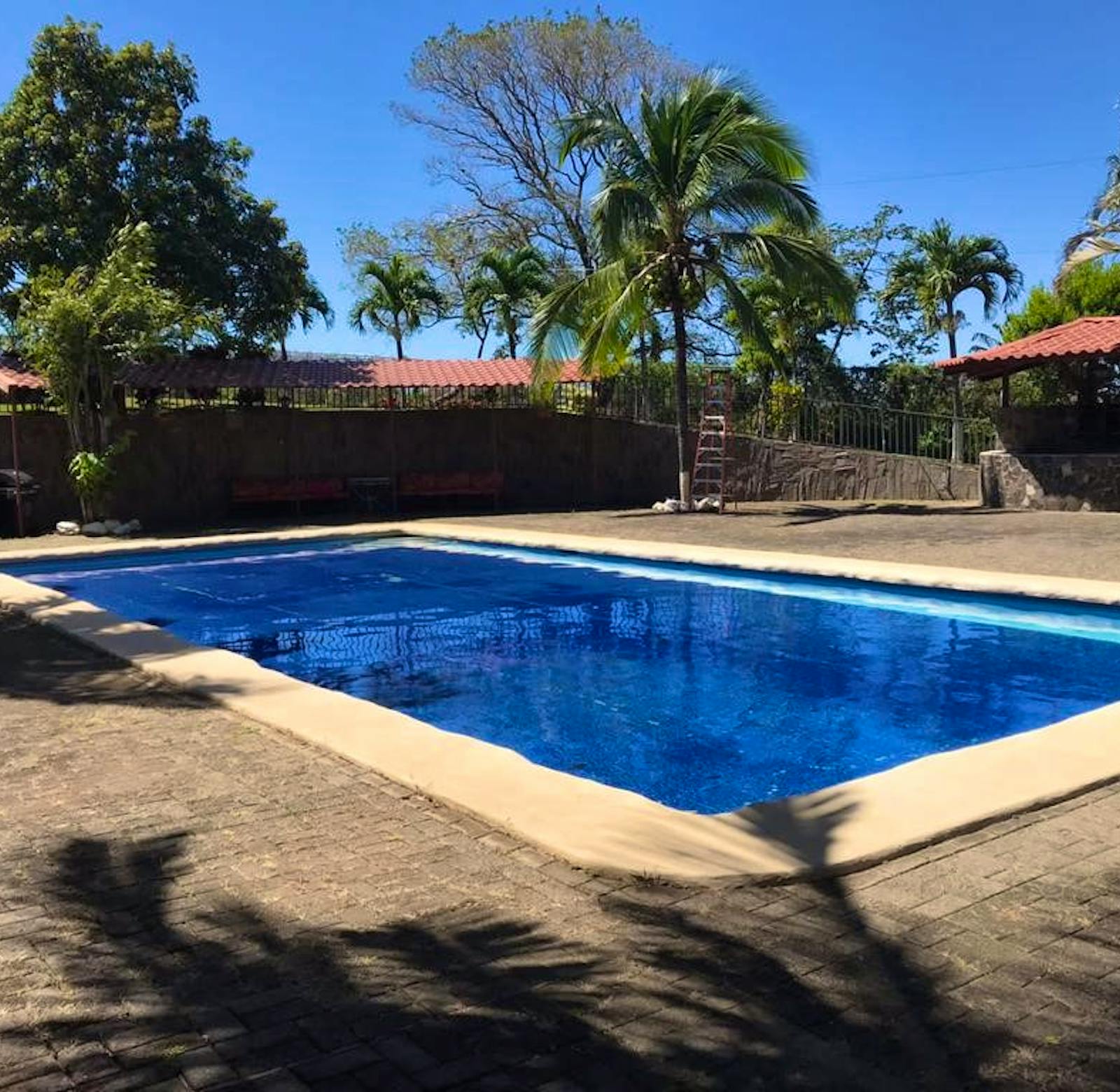 Animal Wildlife Rescue | Volunteer in Costa Rica 2024