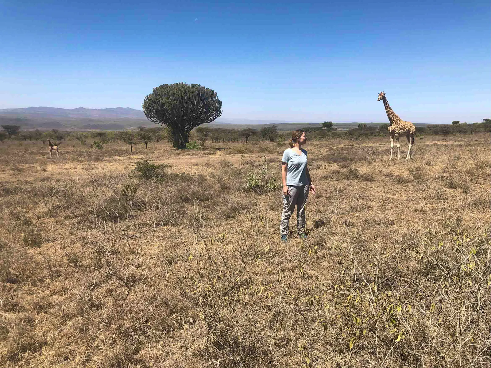 Wildlife Conservation & Tracking | Volunteer in Kenya 2025