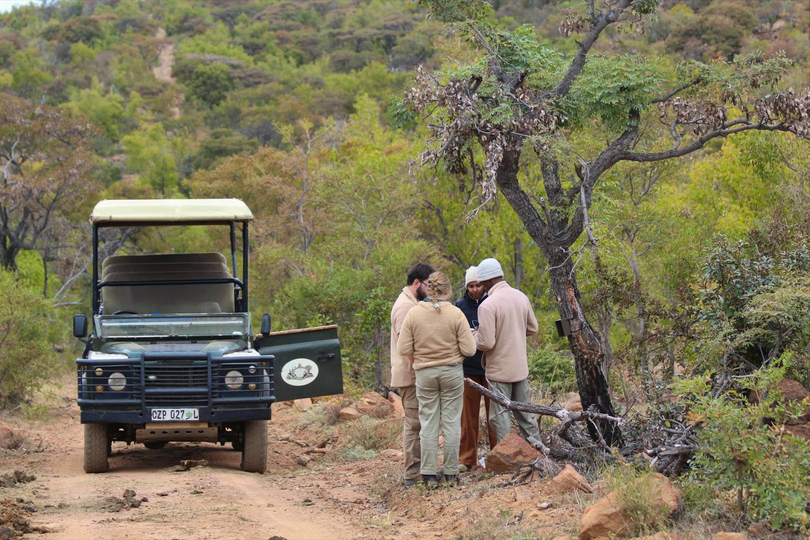 Support endangered species like cheetah or rhino through research and ecological projects. 