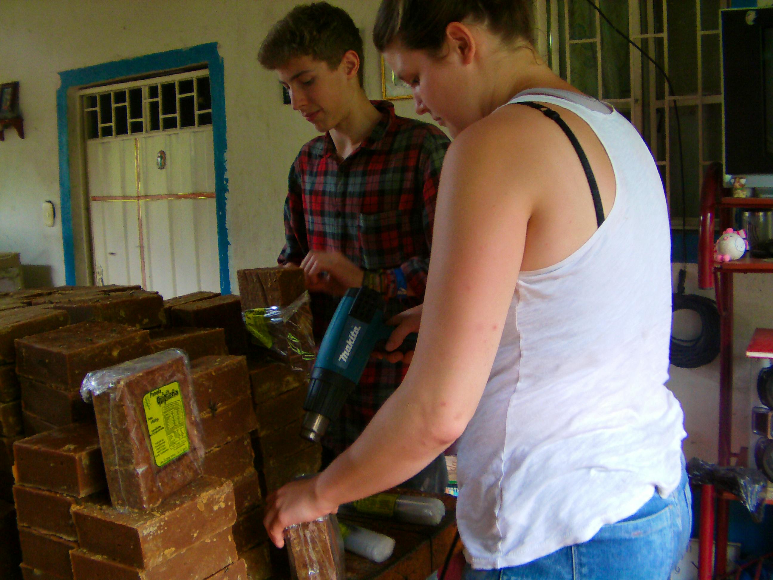 Volunteer helping to pack panela in one of the Sugar Cane farms after the milling process.