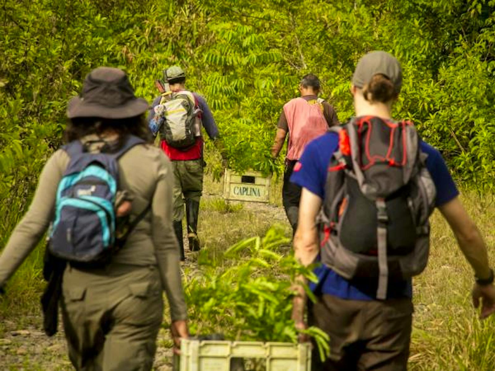 Amazon Rain Forest Conservation Volunteer in Peru 2024