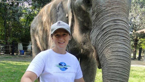 Voluntariado com Elefantes Thai Elephant Sanctuary