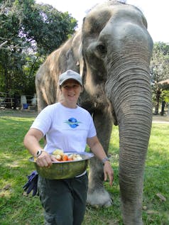  Thai Elephant Sanctuary