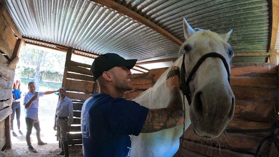 Horse Rescue & Rehabilitation Center Supporter