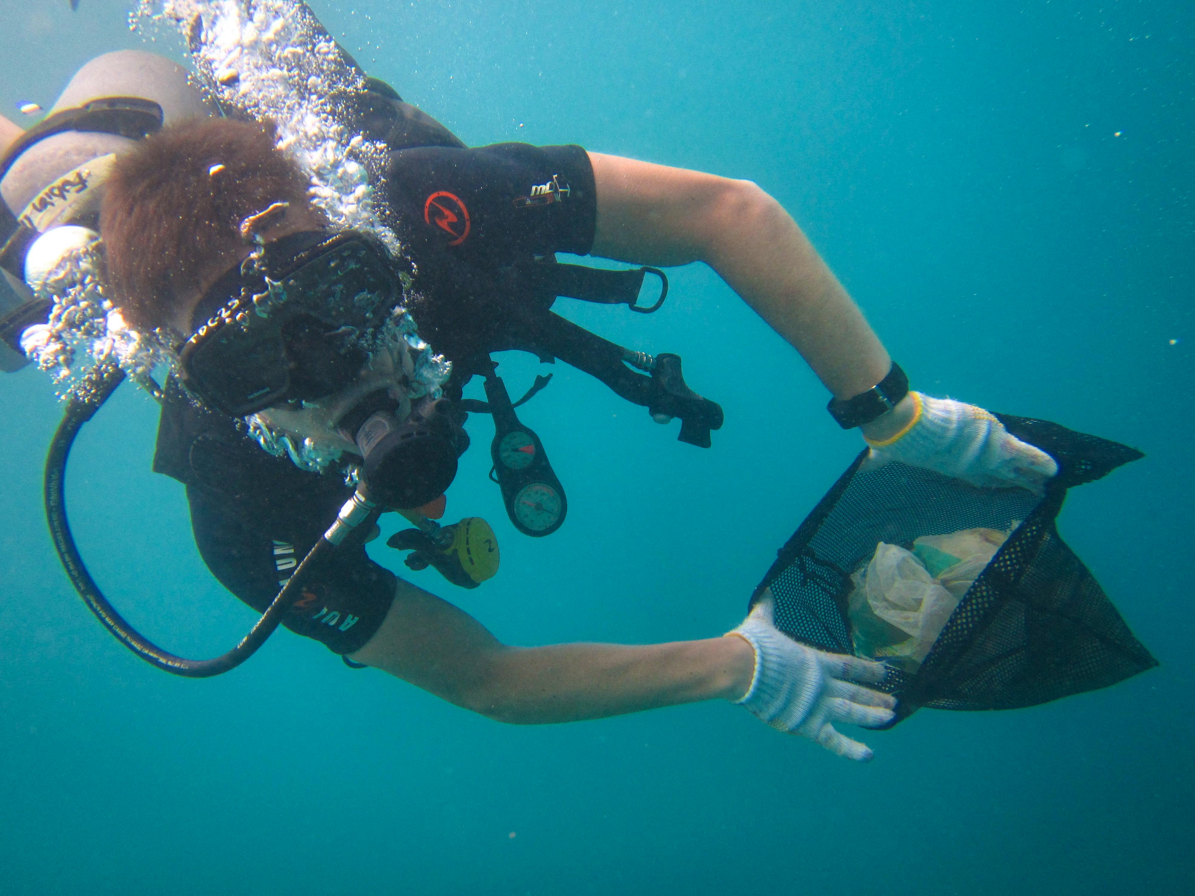 Biorock Coral Reef Restoration | Fais Du Bénévolat En Indonésie 2025