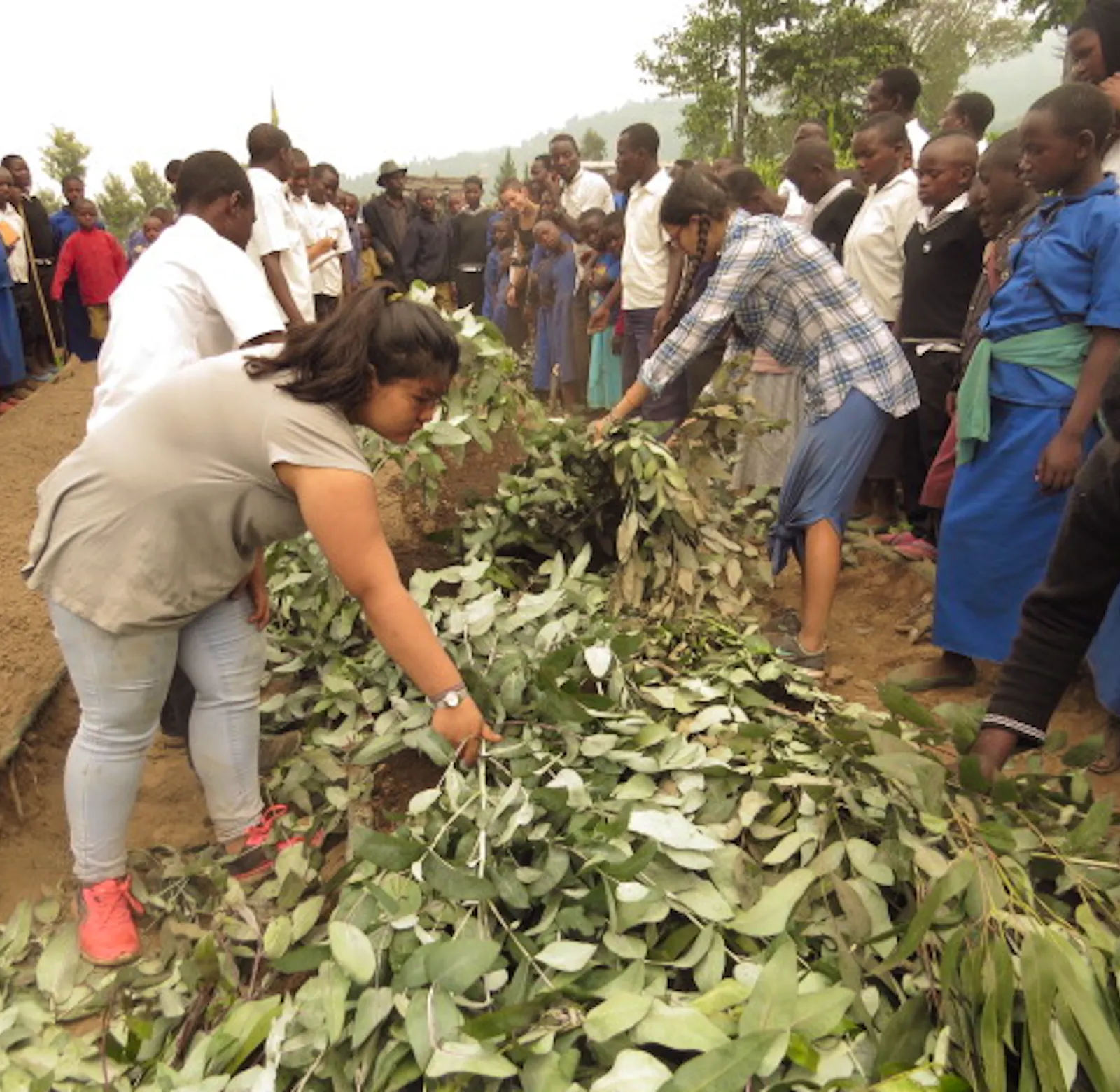 Reforestation Technical Assistant | Volunteer in Rwanda 2025