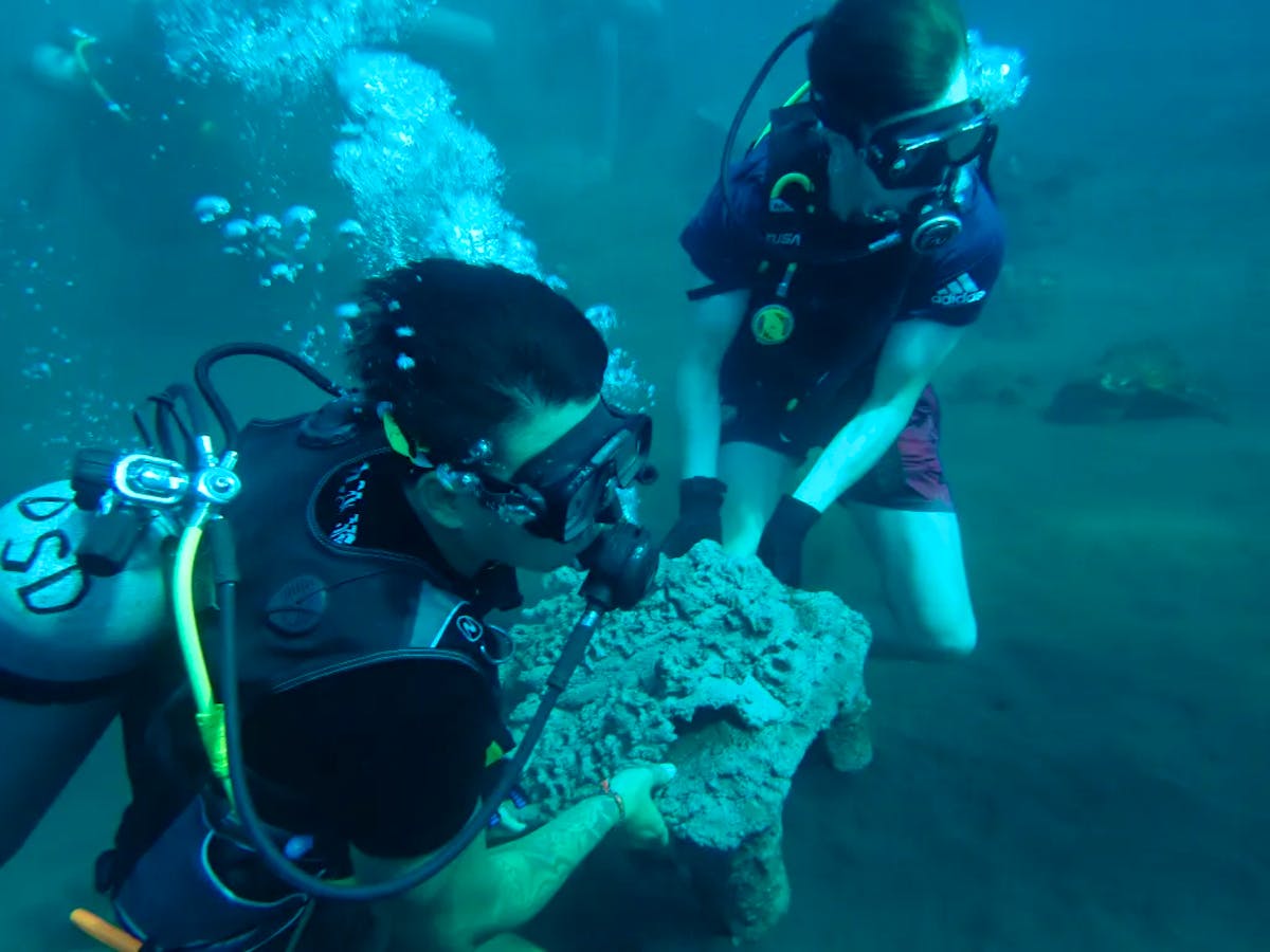 Coral Reef Restoration Diver Volunteer in Indonesia 2024