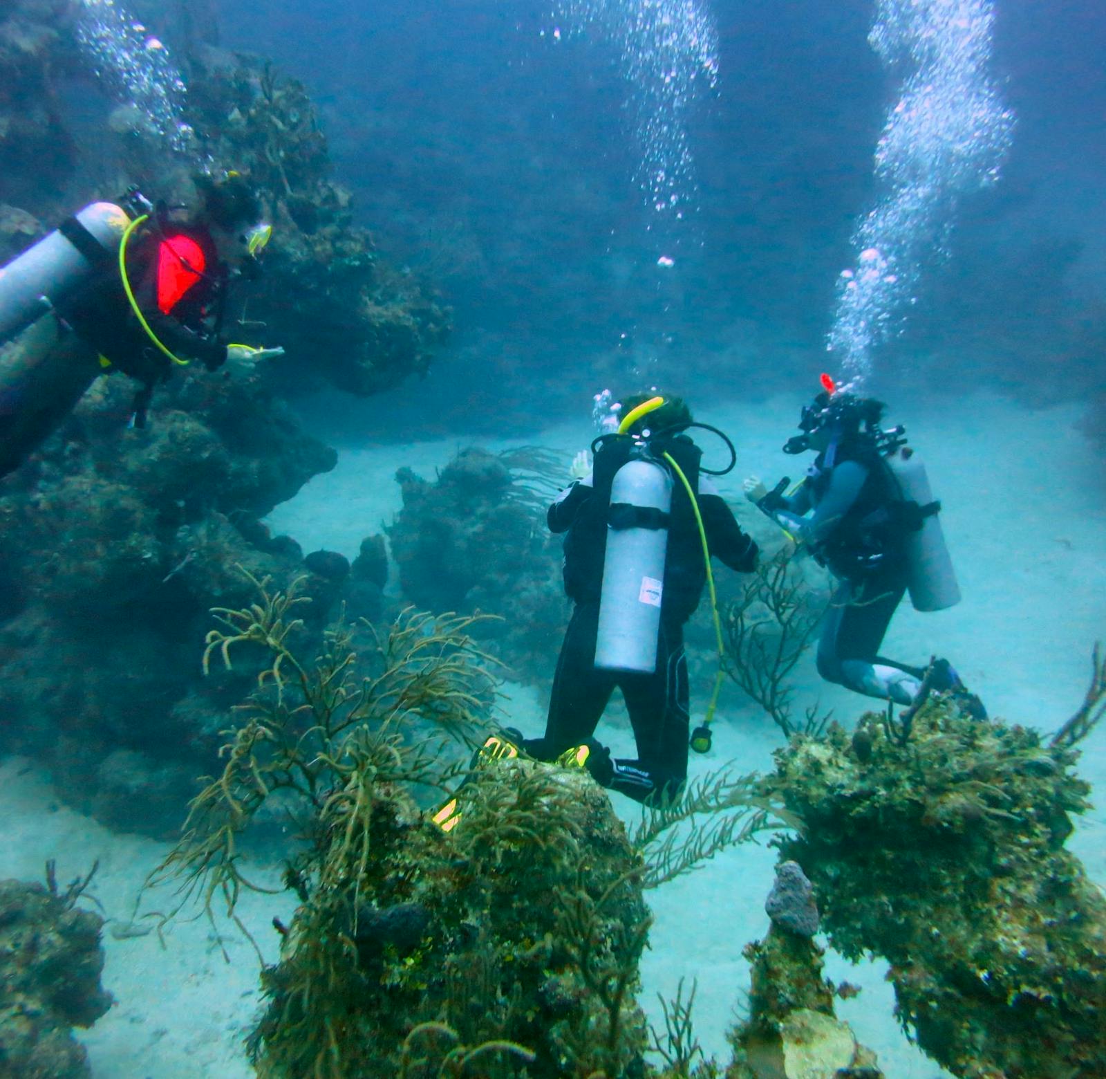 Marine Protection and Conservation Volunteer in Costa Rica 2025