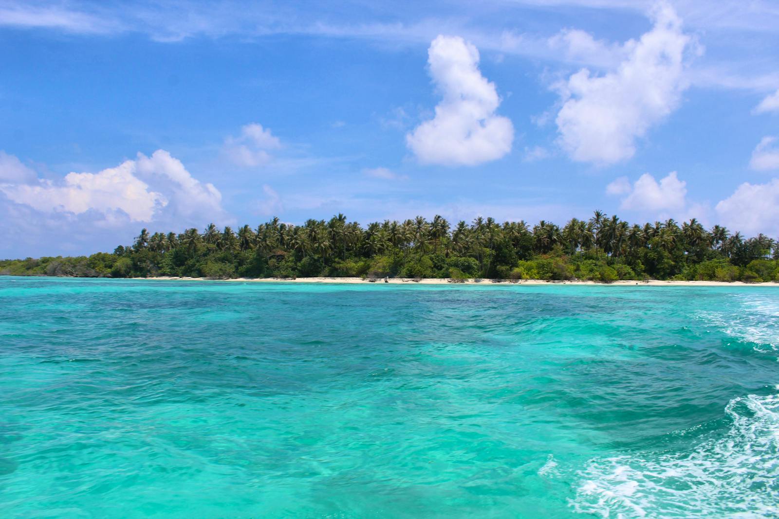 Marine Conservation Family Experience | Volunteer in the Maldives 2025