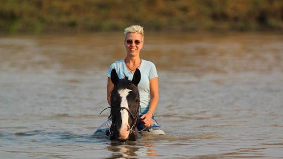 Voluntariado no Zimbábue Equestrian Working Holiday