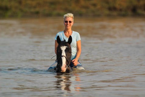 Equestrian Working Holiday