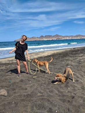 Dog Walker Volunteer In Cape Verde 2023, 46% OFF