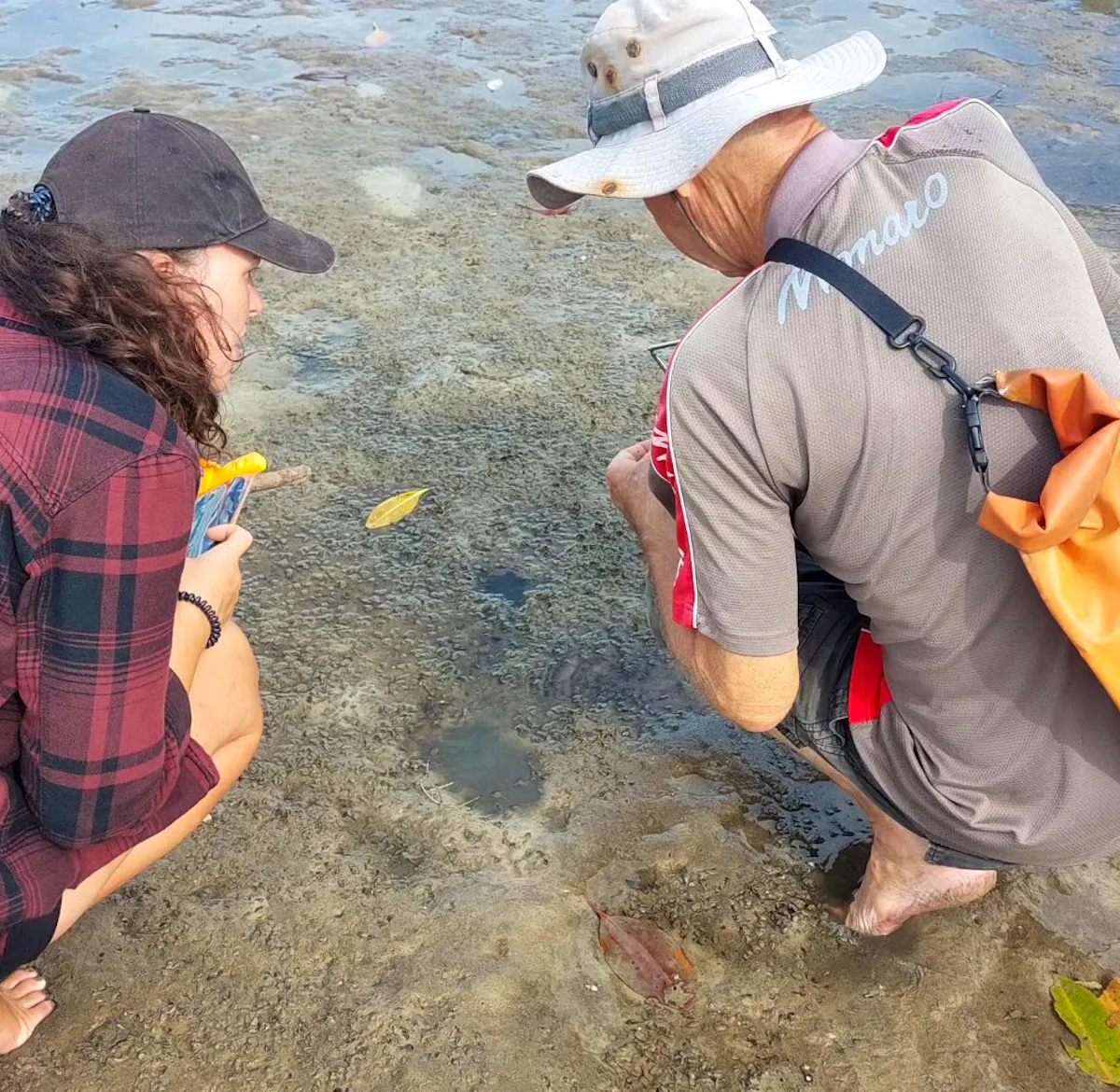 Sea Turtle and Island Conservation Helper | Volunteer in Thailand 2025
