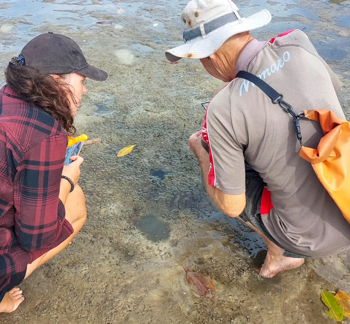 Sea Turtle and Island Conservation Helper | Volunteer in Thailand 2025