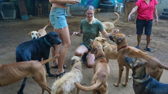 Volunteer in Mexico Dog Rescue Center Supporter