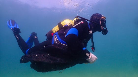 Learn how to dive while volunteering Ocean Conservation