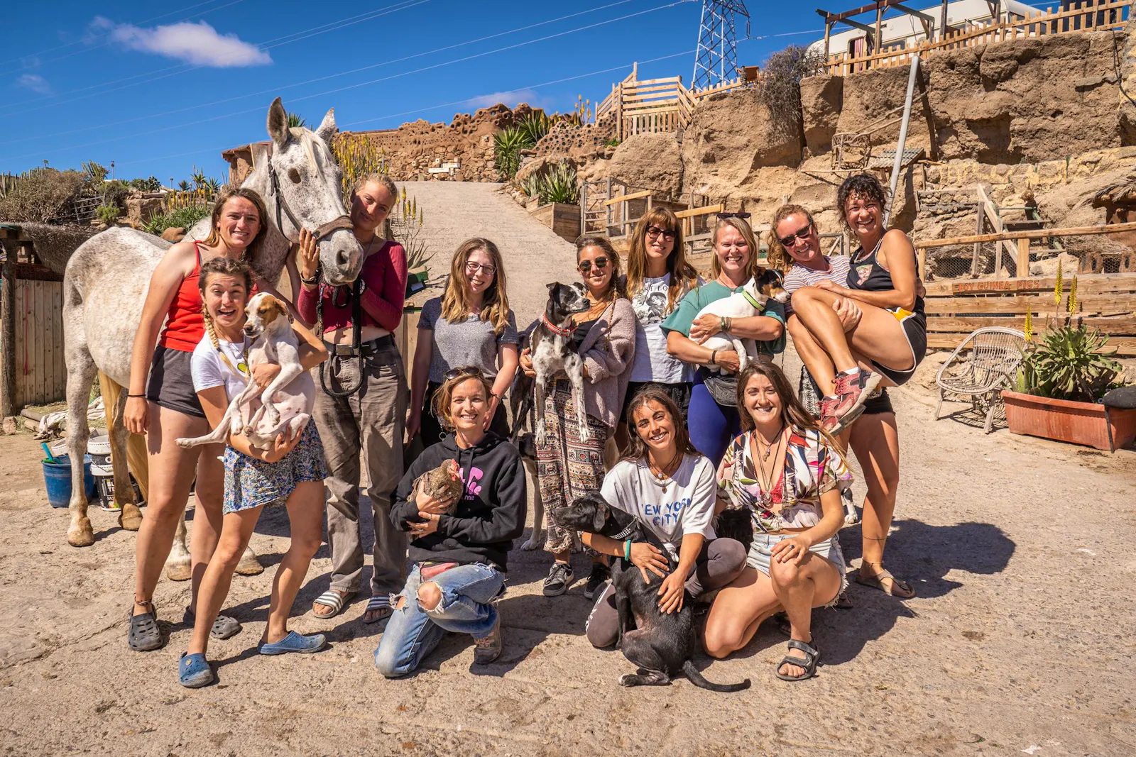 Small Animal Sanctuary Supporter | Volunteer in Spain 2023