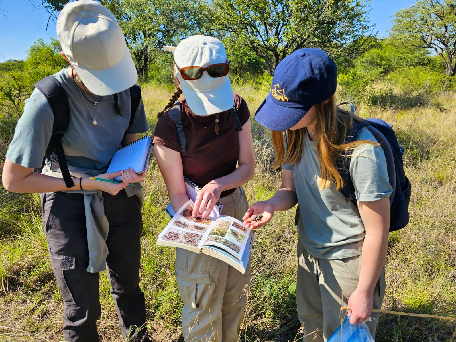 Students and volunteers supporting dehorning research and conservation work