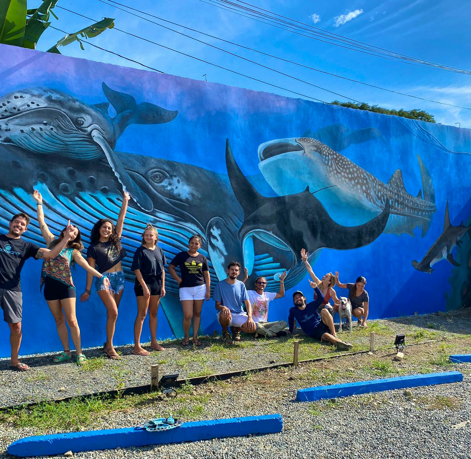 Marine Conservation Expedition Volunteer in Costa Rica 2025