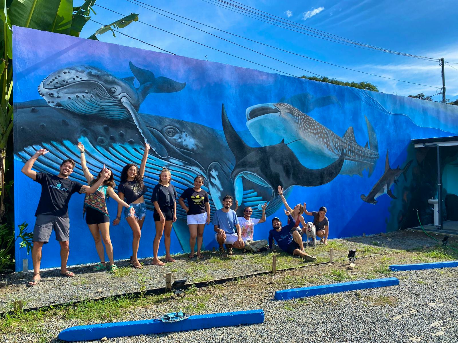 Marine Conservation Expedition Volunteer in Costa Rica 2024