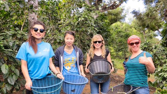 Voluntariado en Antigua Support Local Organic Farms
