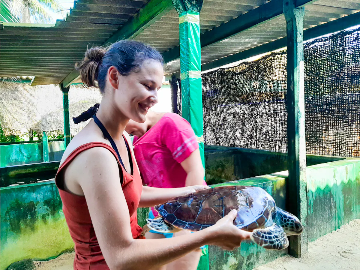 Turtle Rehabilitation and Care | Volunteer in Sri Lanka 2025