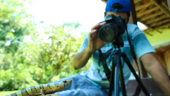 Photography Internships Abroad Animal Release Center: Photography/Video Producer